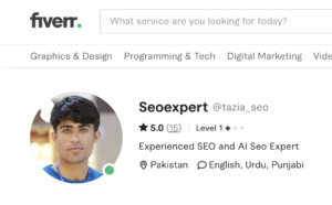 AI Seo in Fiverr
